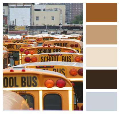 America Vehicles School Bus Image